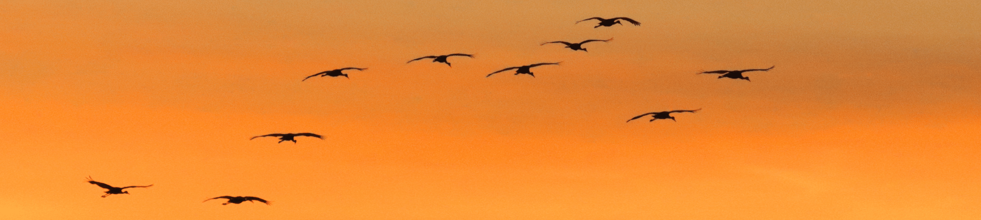 211 Resource Hotline